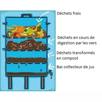 Comment fonctionne le compostage 
