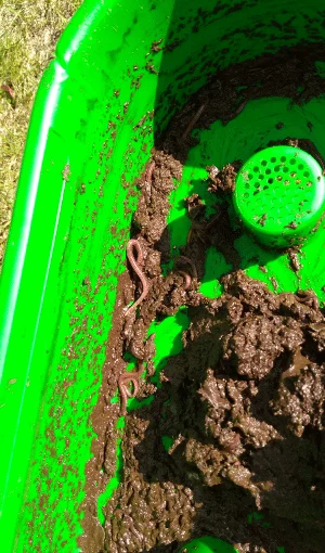 13bacajus2 lombricomposteur city worms bac à jus