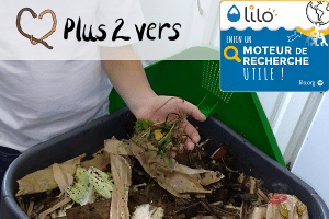 Lilo Plus2Vers