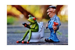 grounouille sur toilettes