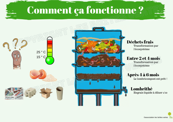 Supports pédagogiques affiche lombri 2