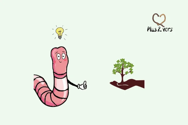 les solutions pour soutenir plus2vers