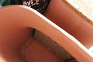 The flower pot is empty