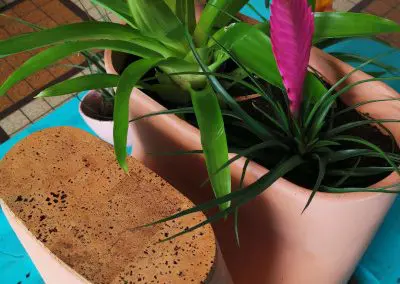 Résultat avec les plantes
