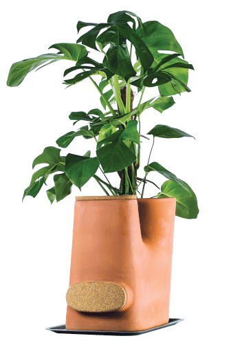 composting flowerpot