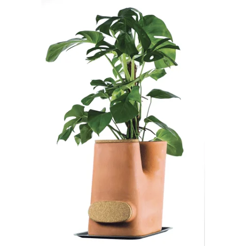 pot de fleur composteur