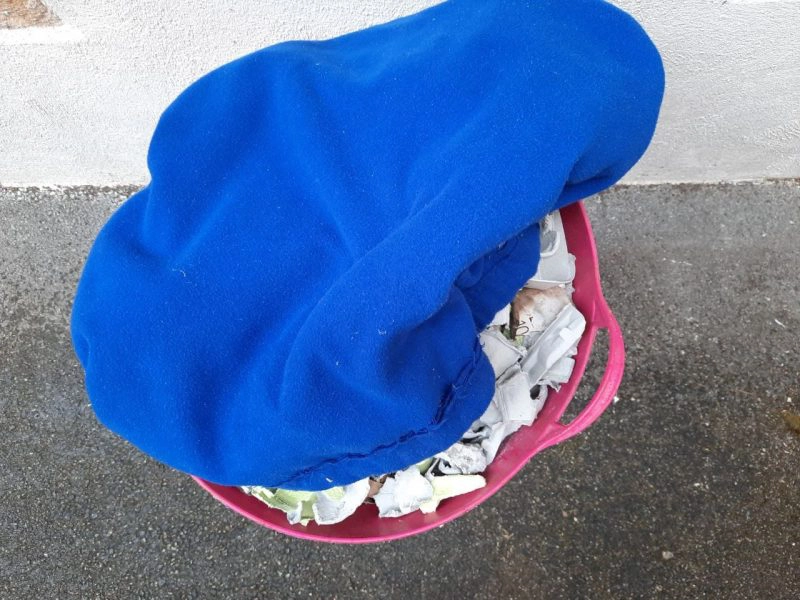 panier lombrisac dessus carton