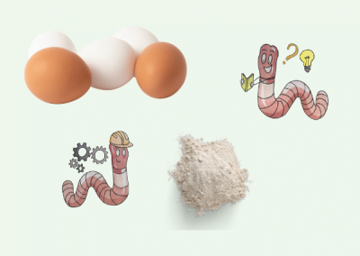Gusci d’uovo nella vermicompostiera: come utilizzarli