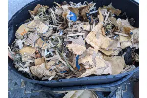Magic lombric ouvert contenu Magic Lombric ouvert contenu lombricompost
