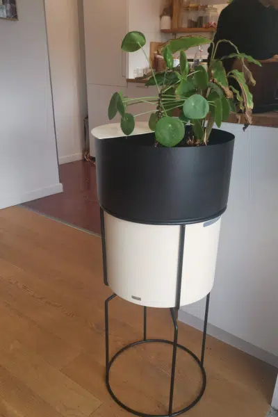 néma ensemble Lombricomposteur Néma avec plantes