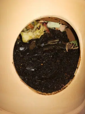 partie compost ceercle bouchon lombricomposteur ouvert